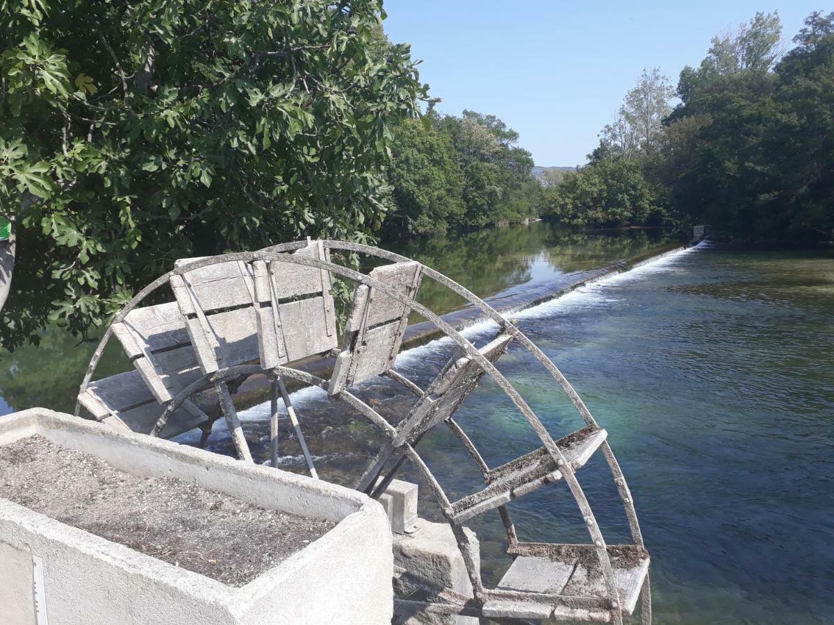 Mas Et Gite De La Picholine L'Isle-sur-la-Sorgue Kültér fotó