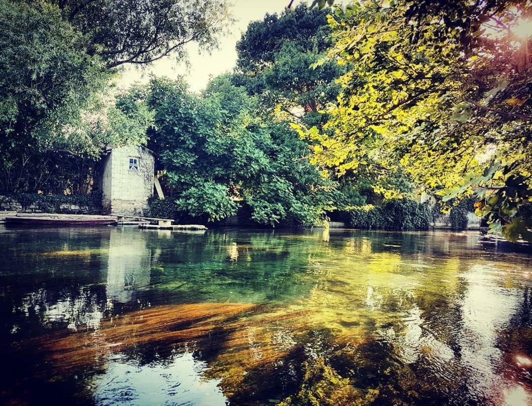 Mas Et Gite De La Picholine L'Isle-sur-la-Sorgue Kültér fotó