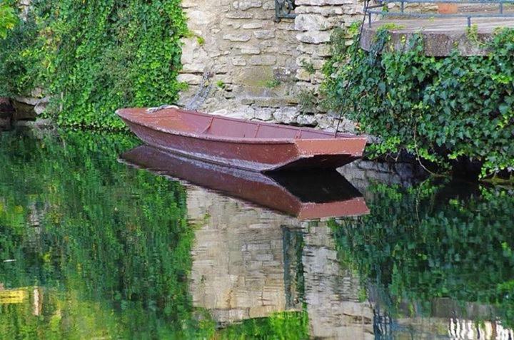 Mas Et Gite De La Picholine L'Isle-sur-la-Sorgue Kültér fotó